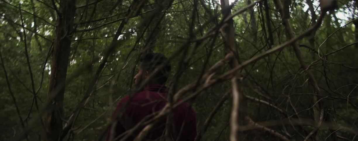 Man stands in the woods looking at his surroundings
