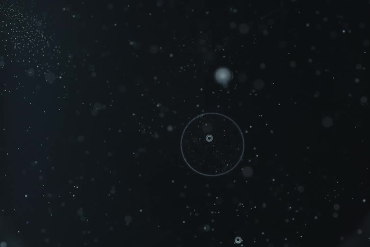 Microscopic view of two bubbles merging and dissolving among floating particles against a dark background