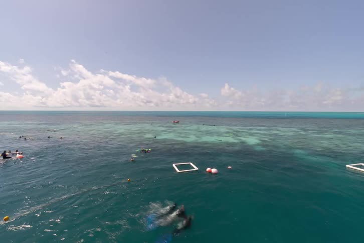 A mesmerizing time-lapse captures the tide receding over the Great Barrier Reef, revealing the intricate coral as snorkelers and divers arrive to explore