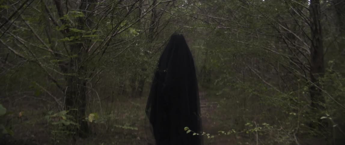 A robed figure is still on the trail in the woods