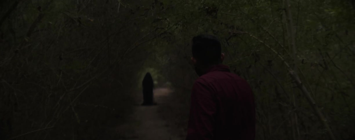 A man walks slowly in the woods looking around
