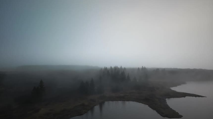 A moody aerial shot slowly flies over a calm lake towards a shoreline forest completely engulfed in dense fog
