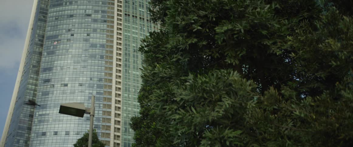 A black bird perches on a city street lamp before flying away, with a modern glass skyscraper and a green tree in the background