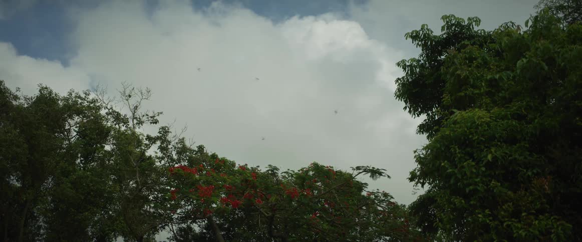 A flock of birds flies in the cloudy sky above lush green trees with vibrant red flowers