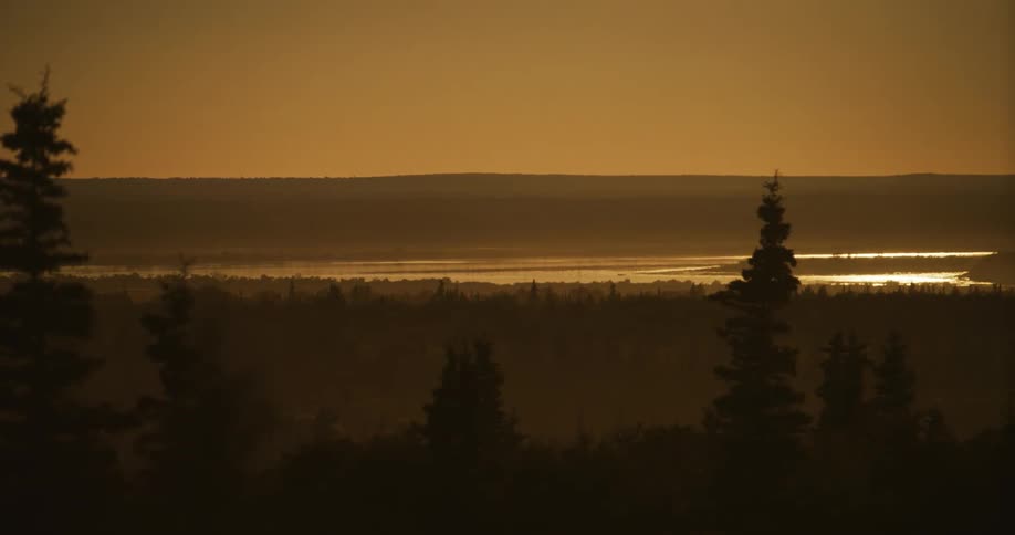 A beautiful panning shot reveals a hazy, golden sunrise over a river valley with silhouetted evergreen trees