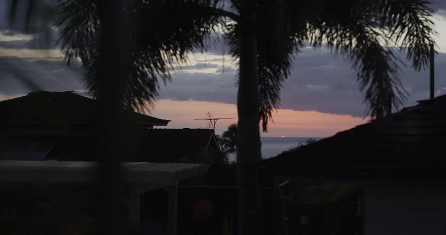 A tranquil view of a cruise ship on the ocean at sunset, seen through silhouetted palm trees in a residential area
