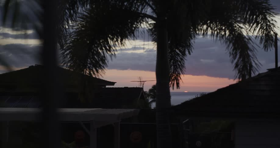 A colorful sunset over the ocean is framed by silhouetted palm trees and rooftops in a tropical neighborhood