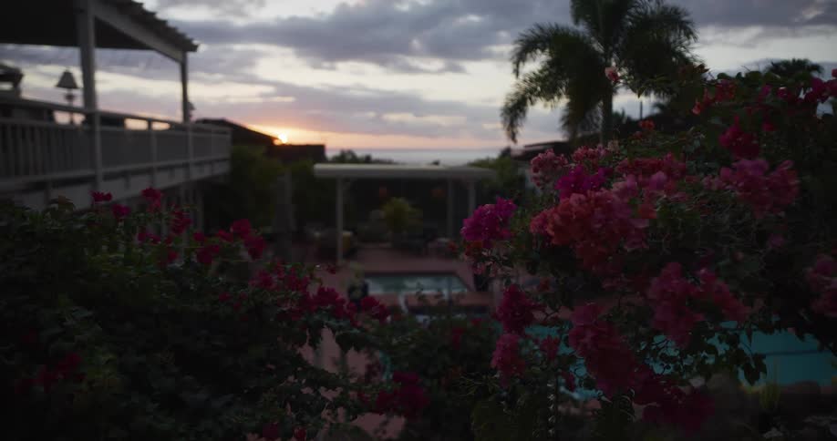 Vibrant pink bougainvillea flowers frame a soft-focus view of a tropical resort with a pool and an ocean sunset in the background