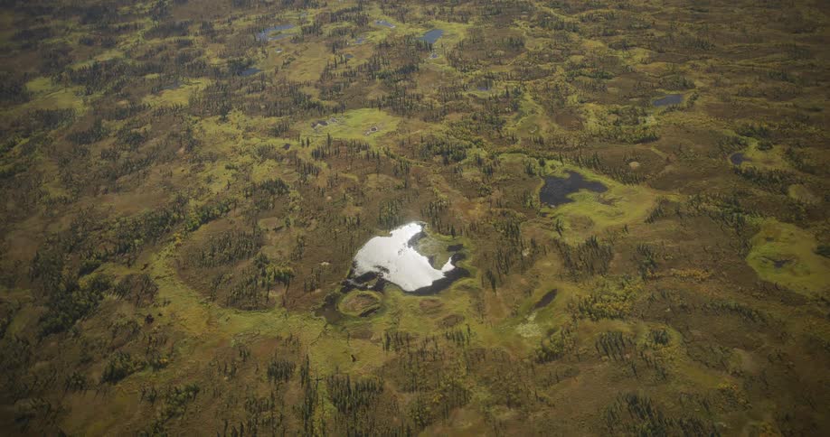 A vast aerial flyover reveals a sprawling landscape of wetlands, lakes, and sparse forests in a remote wilderness