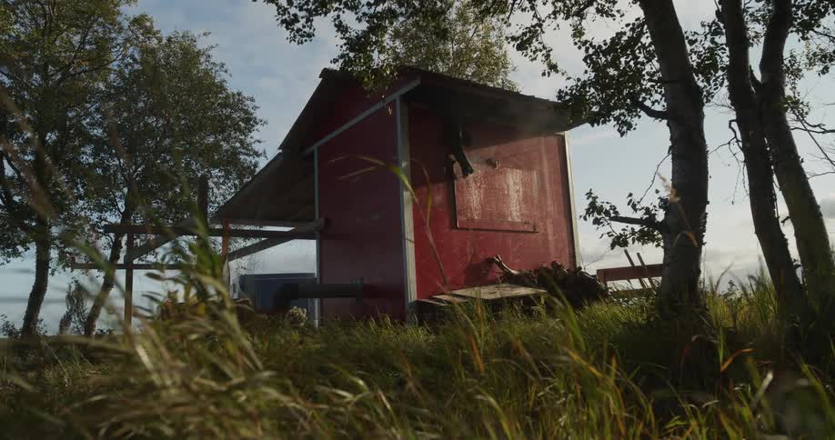 A rustic red smokehouse gently releases steam into the hazy air while tall grass sways in the wind