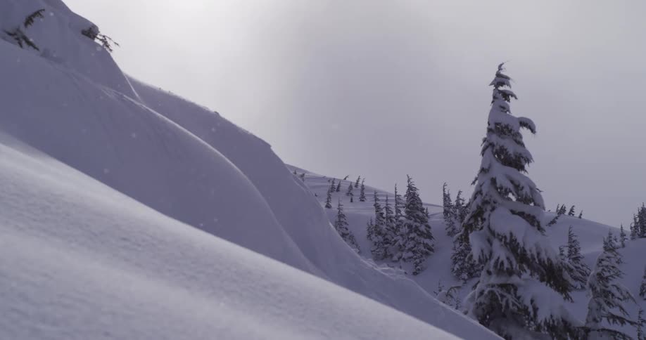Slow motion shot of gentle snowflakes falling over a pristine, snow-covered mountain landscape with evergreen trees
