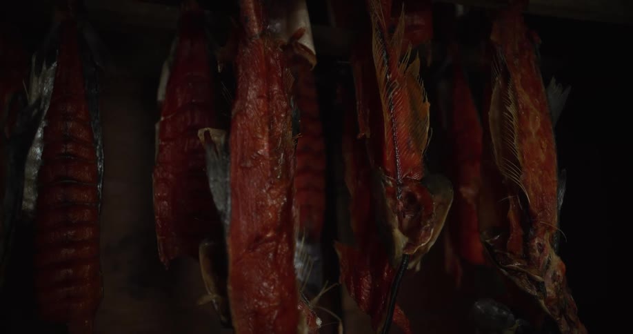 Cured salmon fillets hang in a dark, rustic smokehouse during the traditional preservation process
