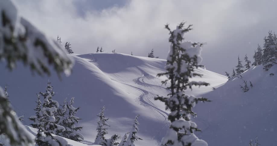 Gentle snowflakes fall on a serene mountain landscape with fresh ski tracks carved into a pristine, sunlit snowfield