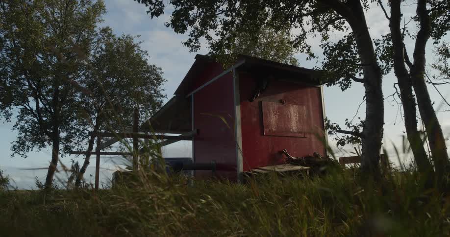 A rustic red shed sits on a grassy knoll as the wind blows through the trees and tall grass