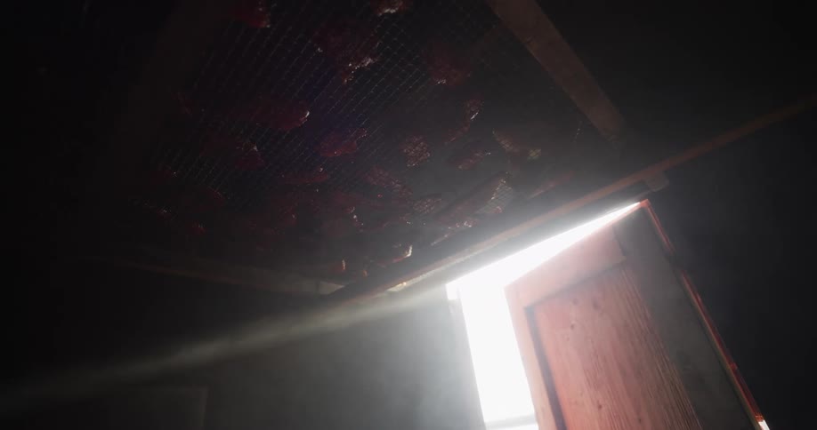 A sunbeam cuts through the smoke in a dark smokehouse where meat is curing on a rack