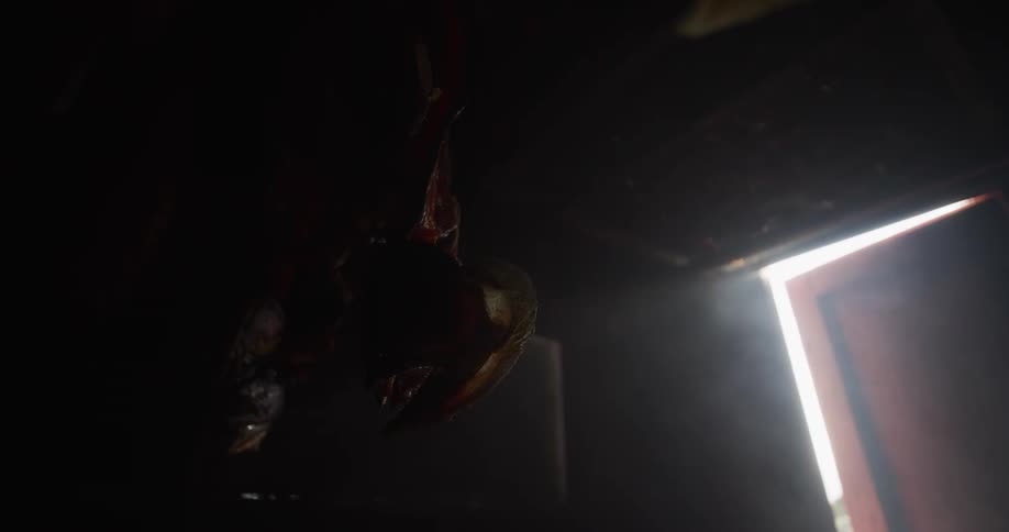 A mysterious creature hangs in the shadows of a dark, dusty room as smoke drifts through a beam of light from an open doorway
