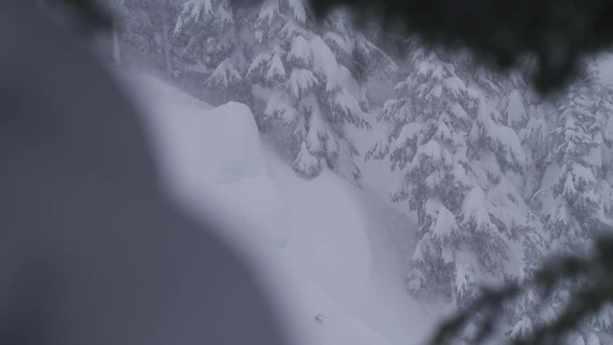 Heavy snow falls during a blizzard on a steep mountainside covered with snow-laden evergreen trees