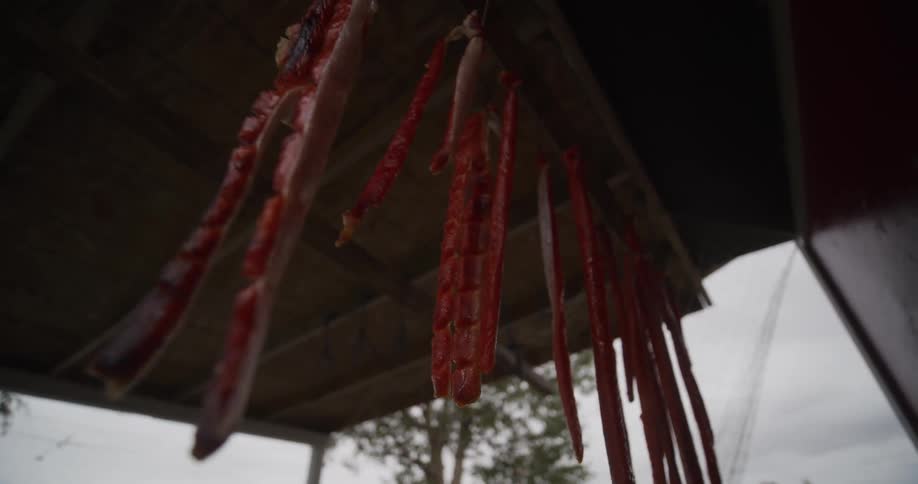 Freshly cut salmon fillets hang from the rafters of a wooden structure, drying in the open air