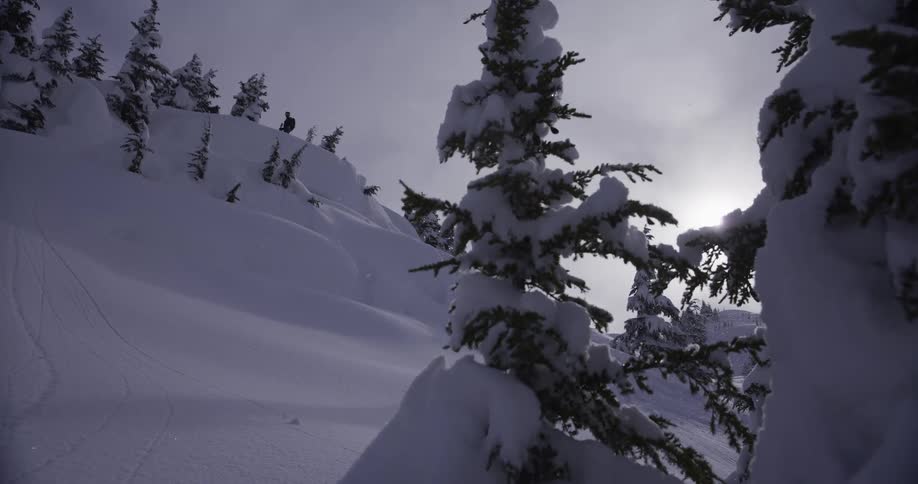 Snow gently falls on a tranquil, snow-covered mountain with a silhouetted figure on the ridge and backlit trees