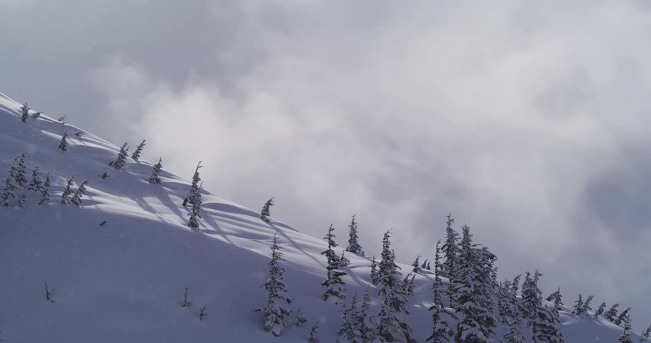 Snow gently falls on a pristine, sunlit mountainside dotted with snow-covered evergreen trees