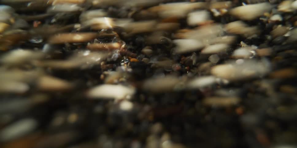 An abstract macro shot of wet sand and pebbles vibrating and mixing together in chaotic motion