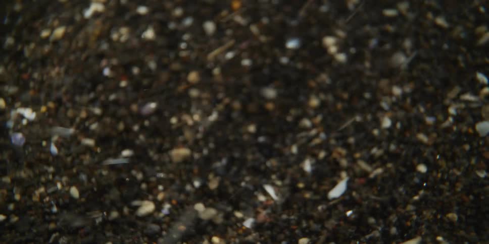 An abstract macro shot of dark sand and organic particles swirling chaotically in a liquid