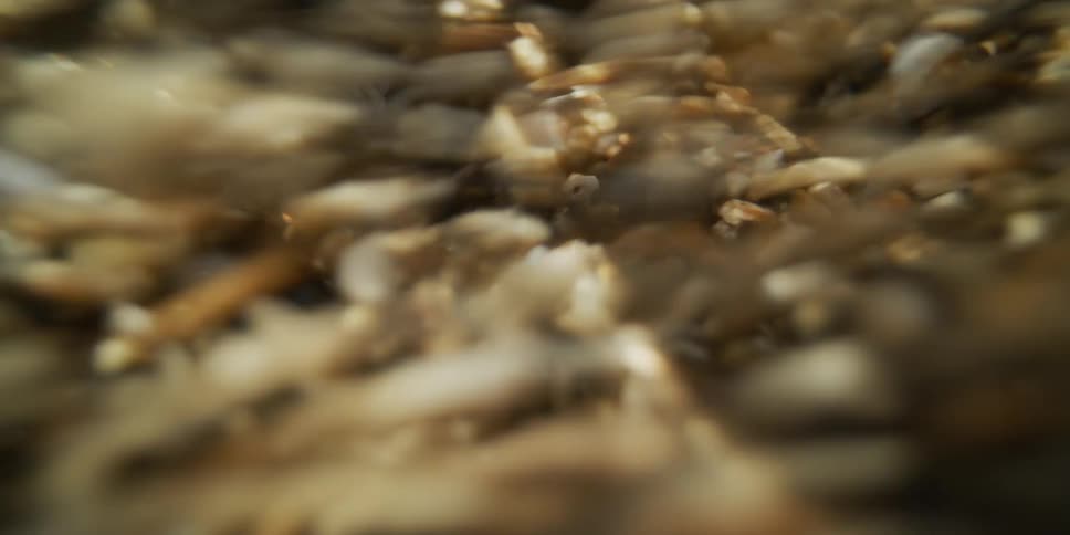 A mesmerizing macro shot of an underwater current sweeping over dark sand and pebbles, concluding with shimmering light on the water's surface
