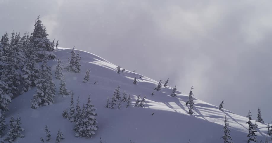 Snow falls gently on a serene and sunny, tree-covered mountainside