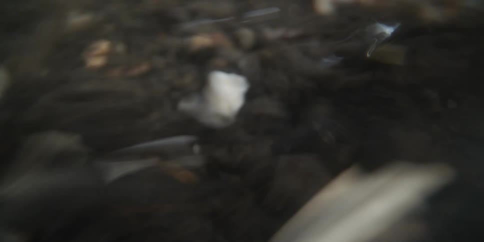 Chaotic and mesmerizing close-up of tiny shells and rocks tumbling and flowing