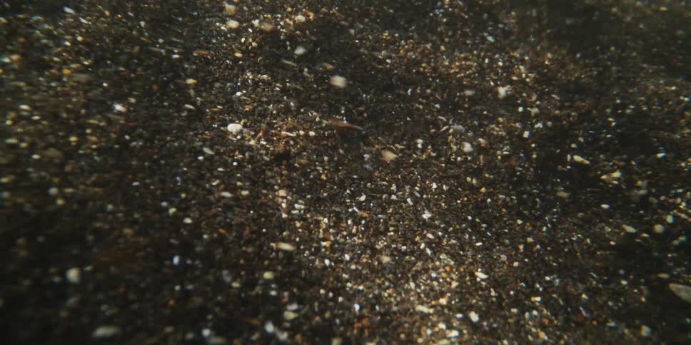 Sunlight creates caustic patterns on dark sand as it shifts and flows with the underwater current