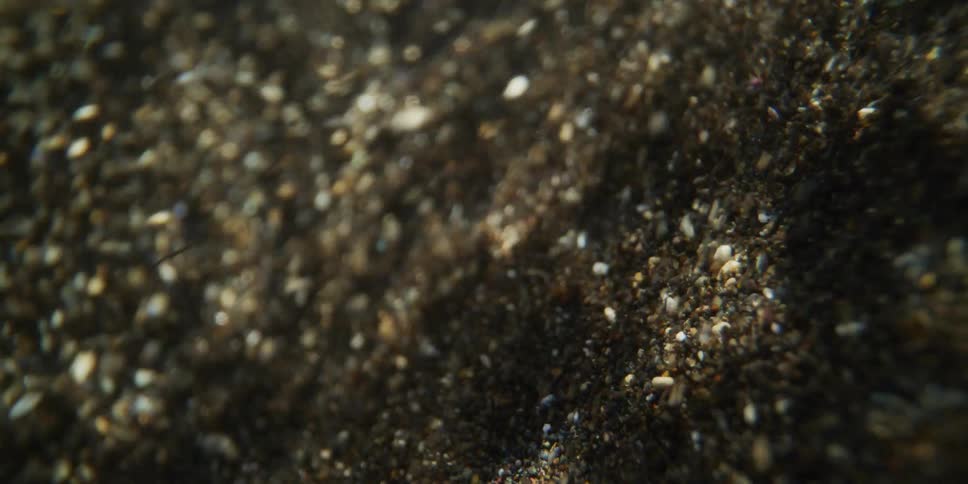 A hypnotic macro shot captures sand and shell fragments swirling in a turbulent underwater current