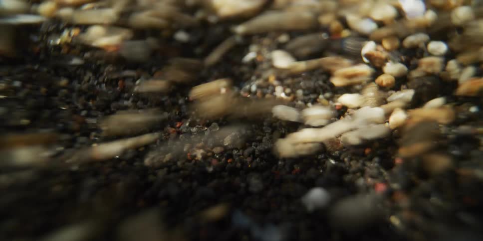 Vibrating sand and pebbles bounce and shift in a chaotic, mesmerizing macro close-up
