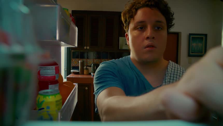 A view from inside the fridge as a man opens the door, grabs a carton of eggs, and closes the door