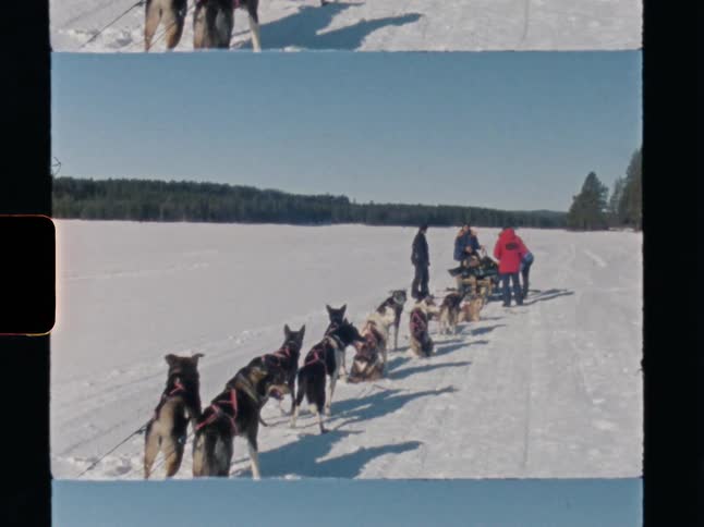 Archival footage captures a team of sled dogs and their handlers preparing for a ride across a vast snowy landscape