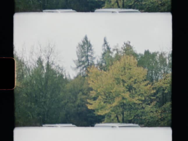 Authentic super 8mm film captures a static view of a tranquil autumn forest on an overcast day