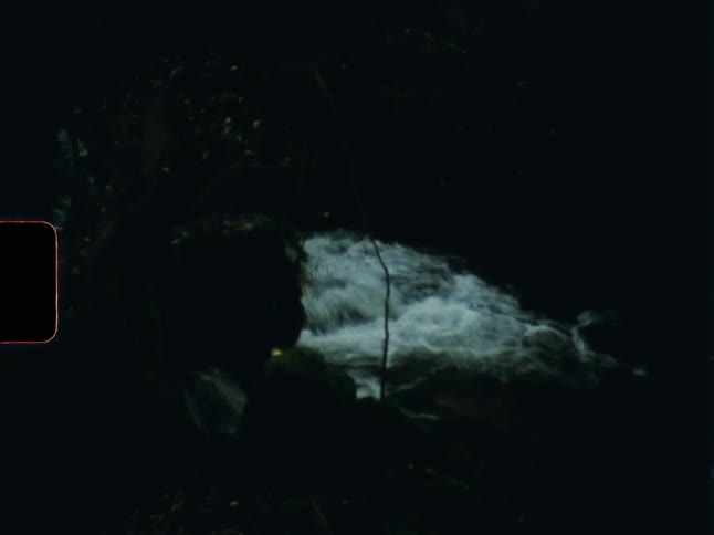 Vintage film captures the eerie beauty of a glowing waterfall in a dark, secluded forest at night