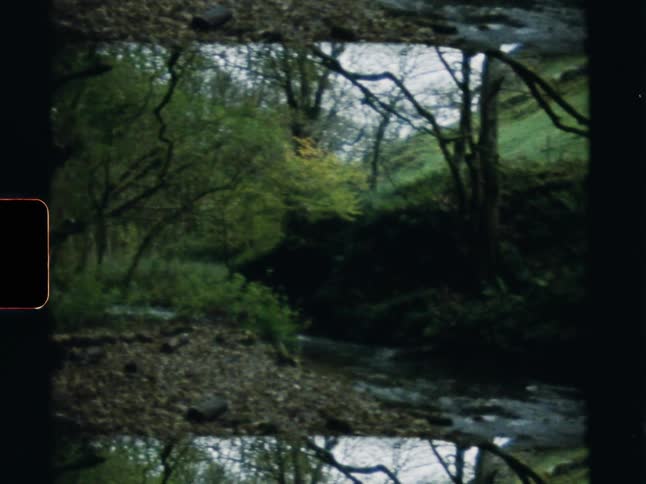 A man walks along a path deep in a lush, green forest next to a flowing stream in this vintage-style footage