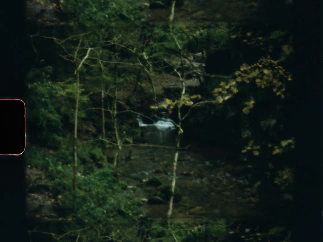 Vintage super 8mm footage captures a small remote-controlled helicopter flying over a stream in a lush green forest