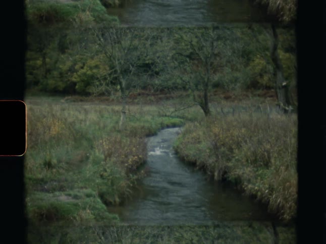 Retro footage of a serene stream flowing through a grassy meadow on a quiet autumn day