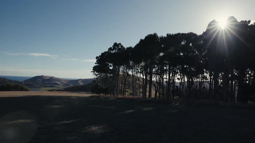 A serene, static shot of a silhouetted treeline on a hill with the bright sun shining, overlooking a vast rural landscape and the distant ocean