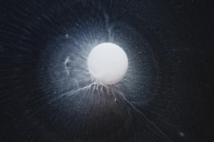 A mesmerizing top-down macro shot captures a white sphere initiating a slow crystallization reaction within a dark, evaporating liquid