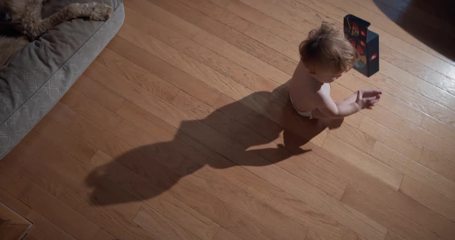 Top-down view of a baby playing with a book and crawling across a sunlit hardwood floor, casting a long shadow