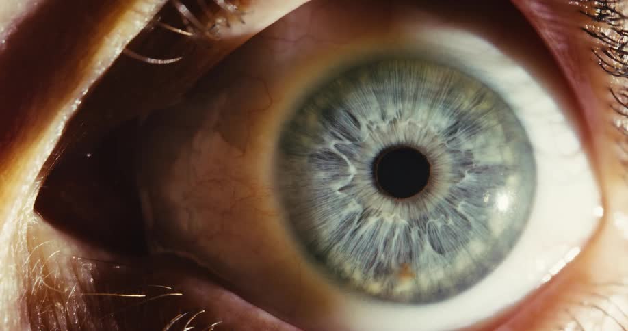 An extreme macro close-up of a blue human eye reacting as light gradually illuminates it