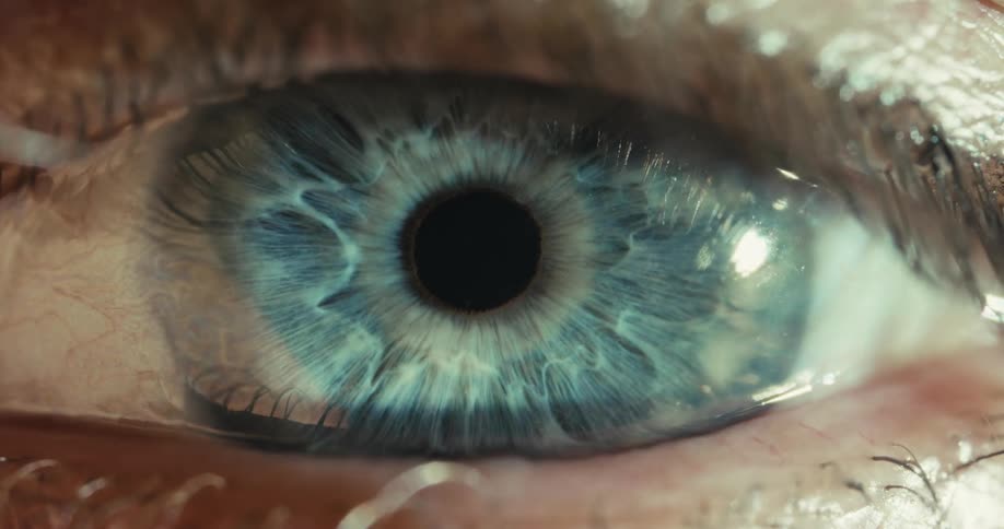 An extreme close-up of a human blue eye reveals its intricate details as the pupil constricts in the light