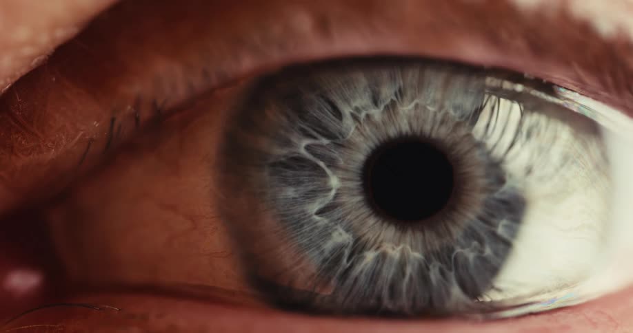 An extreme close-up macro shot of a blue human eye shows the pupil dilating in response to darkness