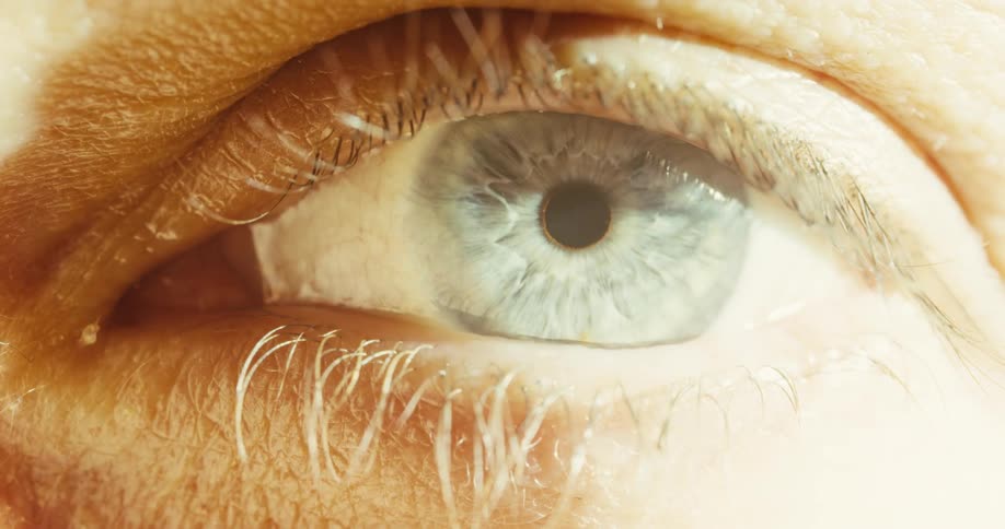 A stunning macro shot captures the intricate details of a blue eye slowly opening in warm, dramatic light