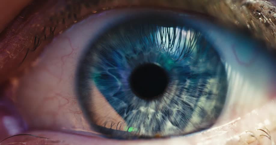 An extreme close-up macro shot of a human blue eye, where the pupil dilates and constricts in response to dramatic changes in light