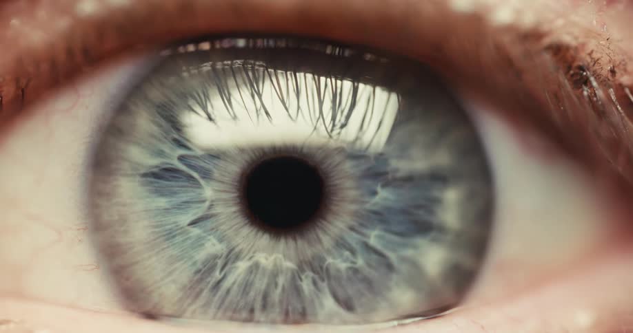 A detailed macro shot of a blue-gray eye reveals the intricate iris as the pupil contracts with light and expands in darkness