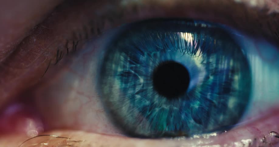 An extreme macro close-up reveals the intricate and detailed texture of a vivid blue human iris