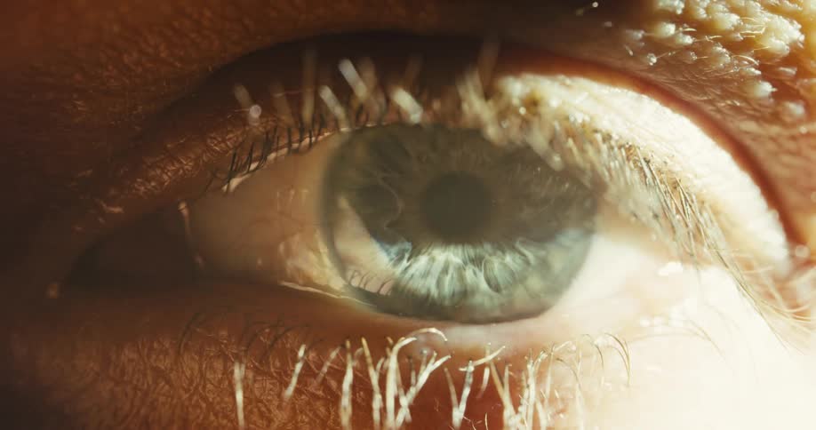 An extreme close-up macro shot of a human eye as light reveals the blue iris and dilating pupil before closing